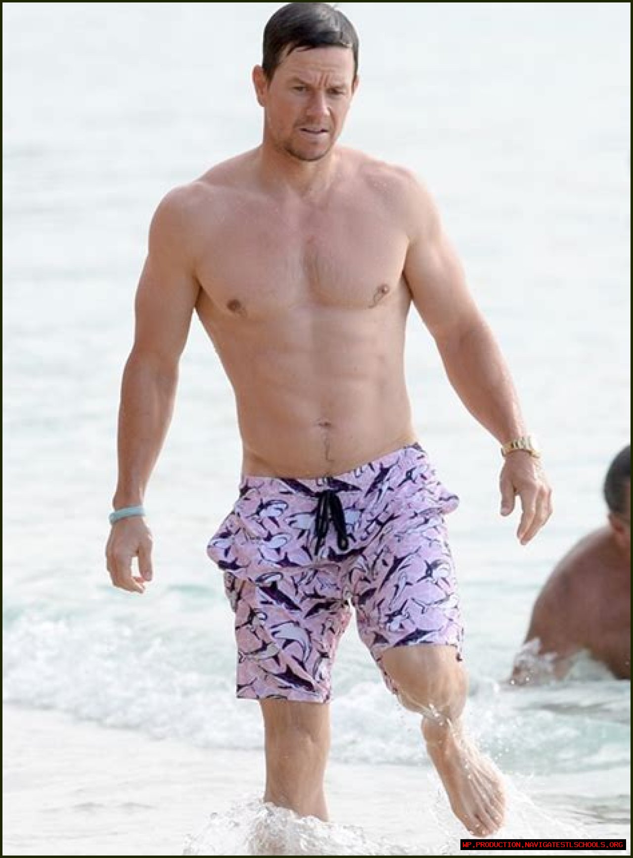 Mark Wahlberg Height And Weight: An In-Depth Look At The Actor's Physical Stats